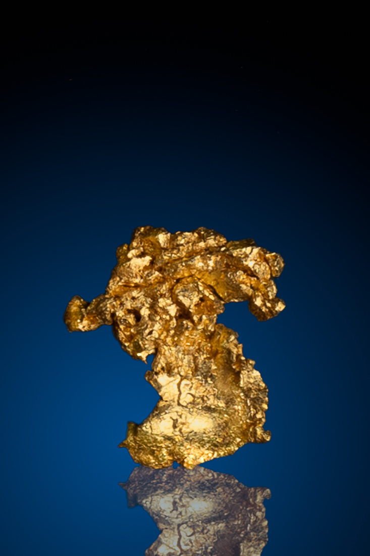 (image for) Beautiful and Intricate Crystallized Gold from Round Mountain, NV - 0.19 grams